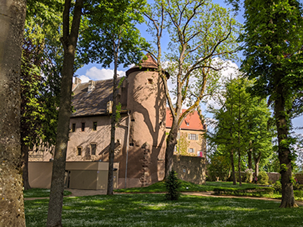 Schloss Aschach Learn German Under Apple Trees