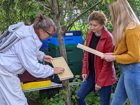 Learning from Locals Bees Learn German Under Apple Trees