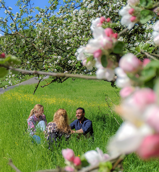 Learn-German-Under-Apple-Trees